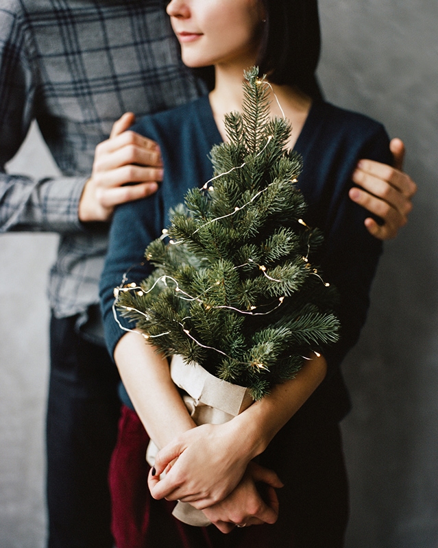 Potted Christmas Tree | Small Christmas Tree